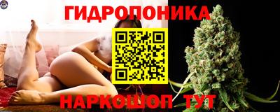 стафф Обь