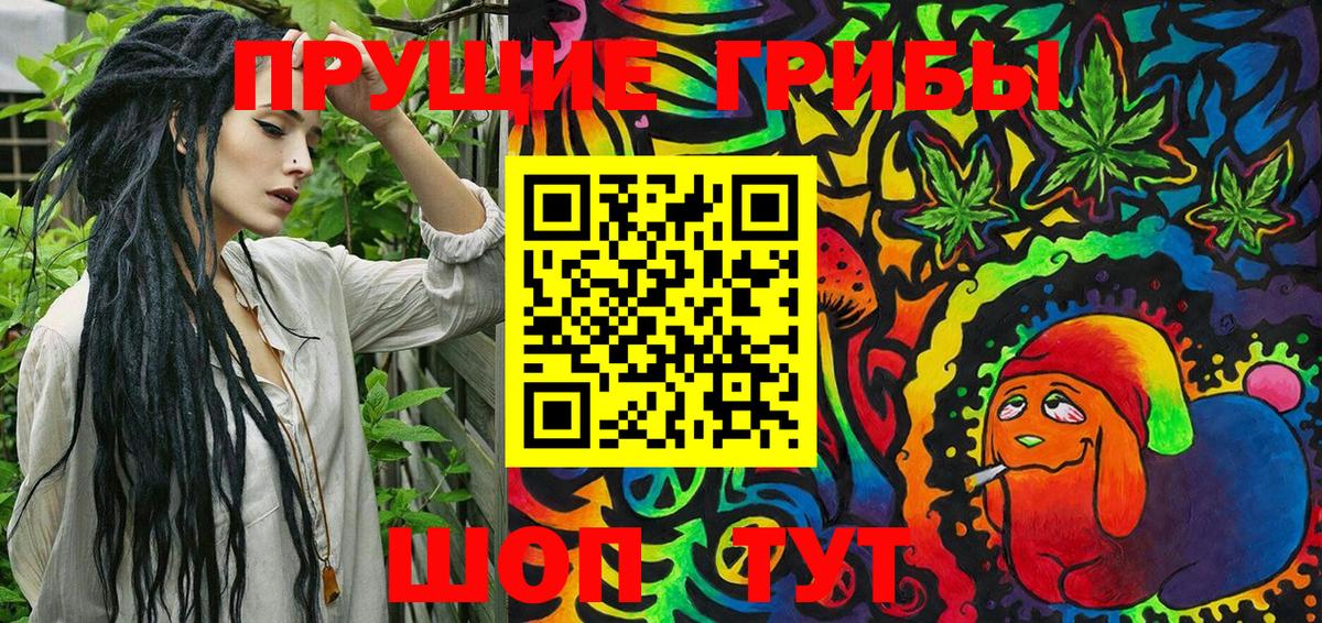 Галлюциногенные грибы Psilocybe Скопин